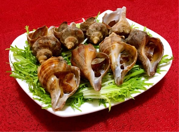 白灼海螺步骤6