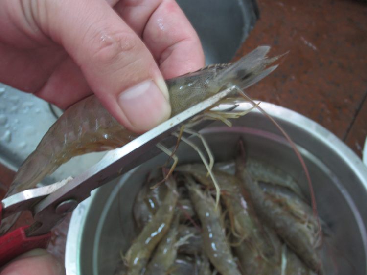 豉油王鲜味虾步骤2