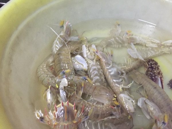 盐水虾姑步骤1