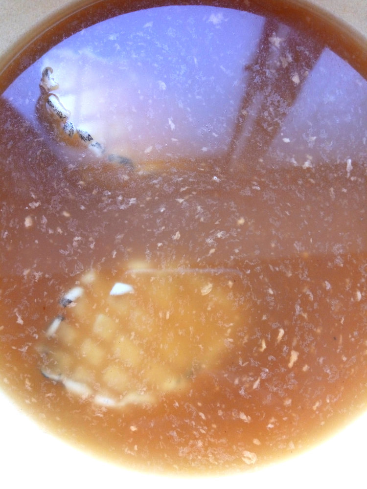 鲍鱼捞饭步骤4
