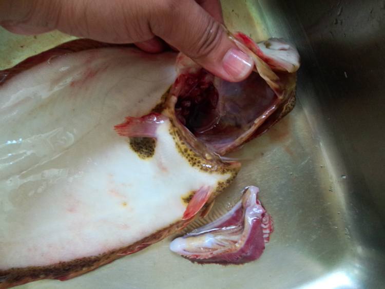 清蒸牙鲆鱼步骤2