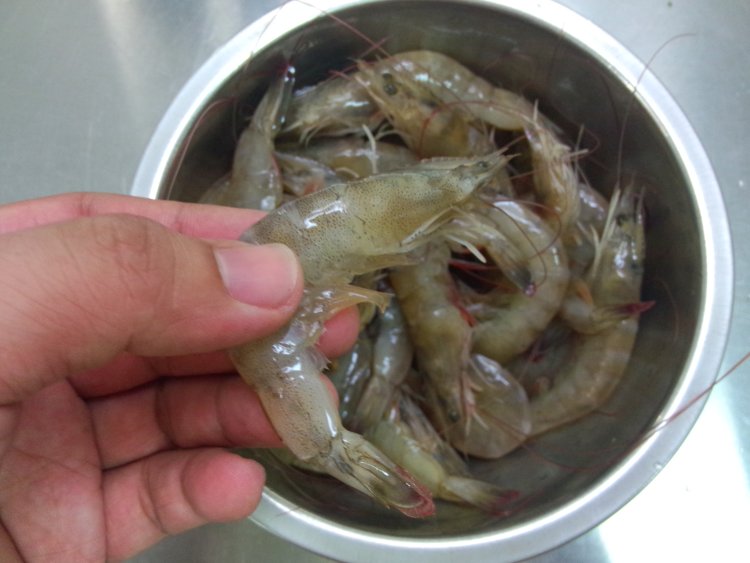 家常白灼虾步骤1