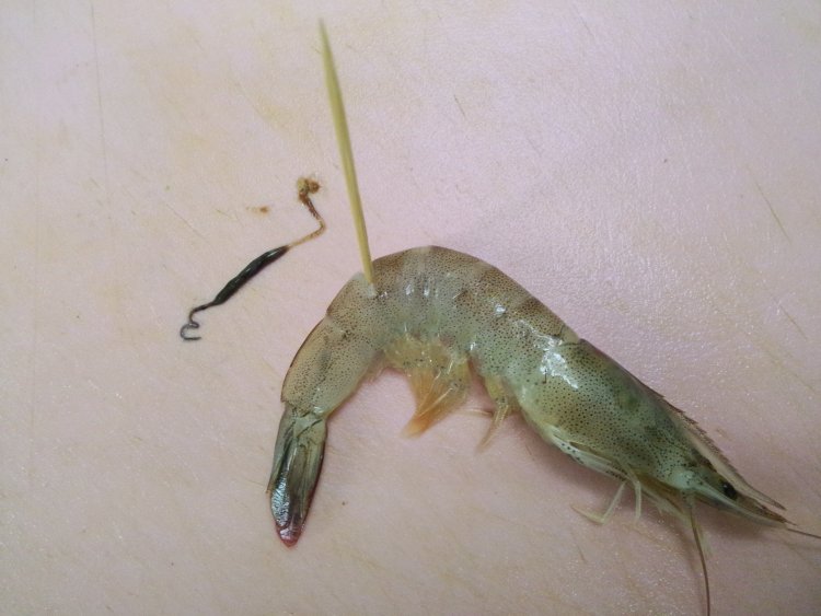 家常白灼虾步骤2