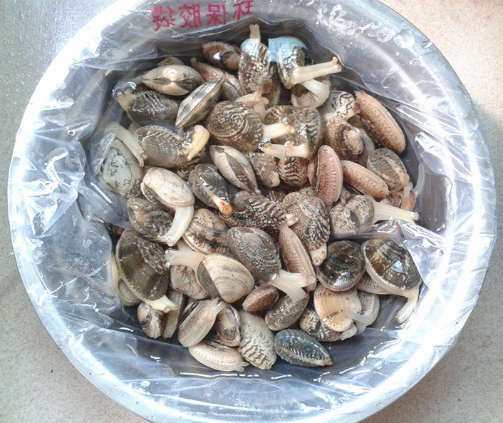 香菜爆花蛤步骤1