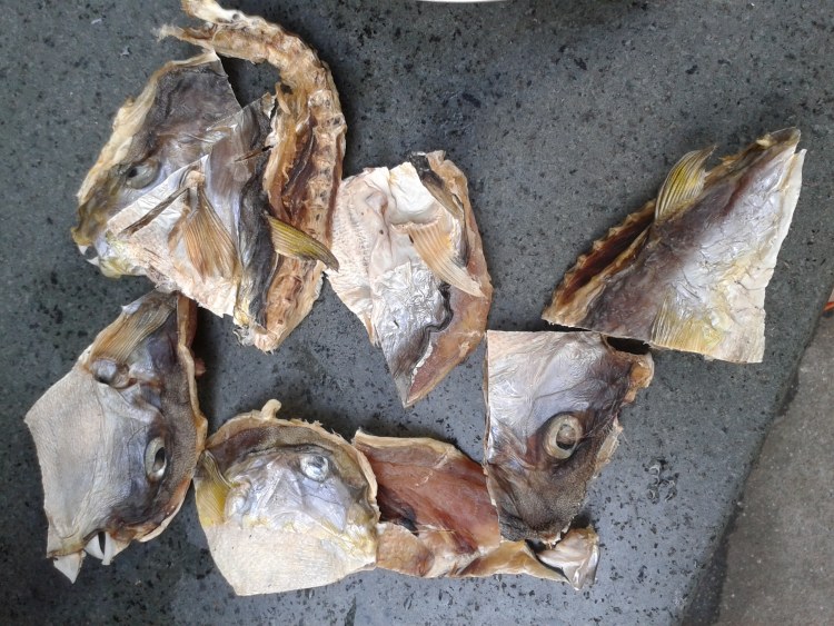 河豚鱼干炖猪脚步骤2