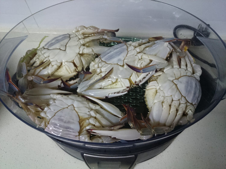 清蒸海蟹步骤2