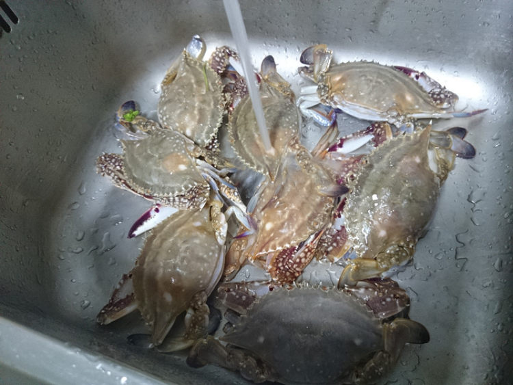 清蒸海蟹步骤1