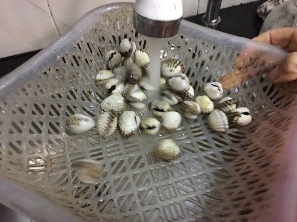 烫血蛤步骤1
