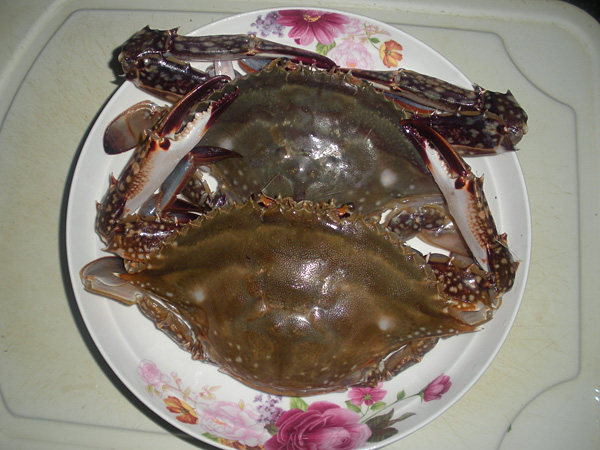 螃蟹炒年糕步骤1