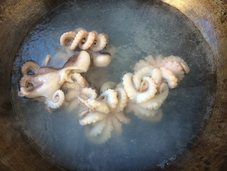香辣八带鱼步骤2