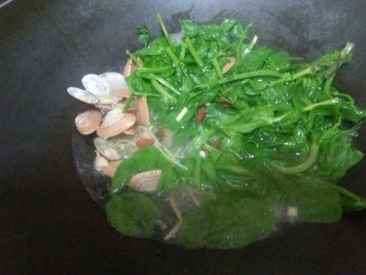豌豆苗花甲汤步骤5