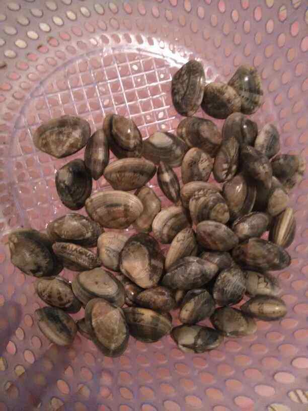 老干妈炒花甲螺步骤1