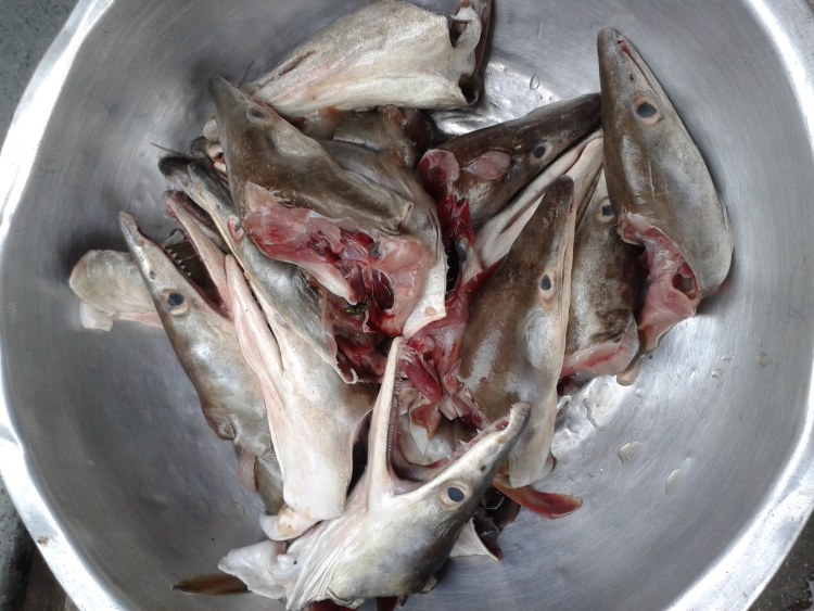 白菜煮鳗鱼头汤步骤1