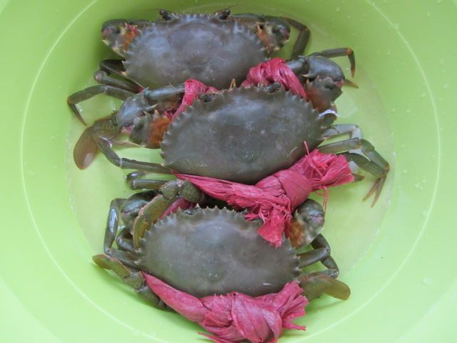 蒸青蟹步骤1