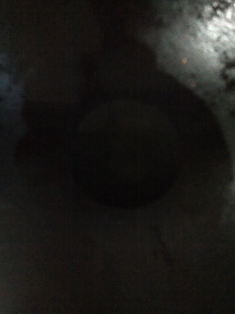葱爆花甲步骤2