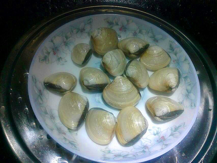 蛤蜊蒸鸡蛋步骤4