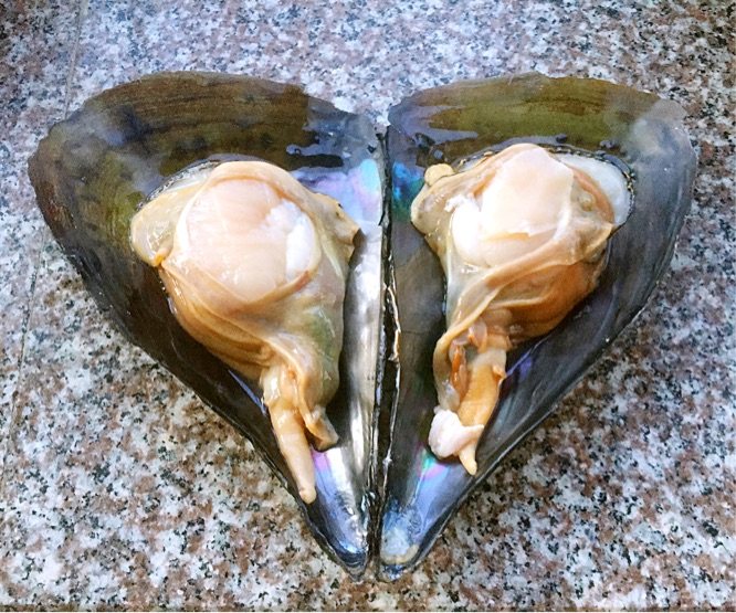 蒜蓉粉丝蒸带子步骤2