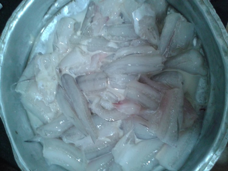 葱香豆腐鱼汤步骤2