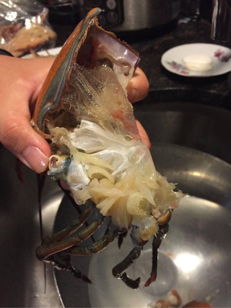 姜葱大龙虾步骤4