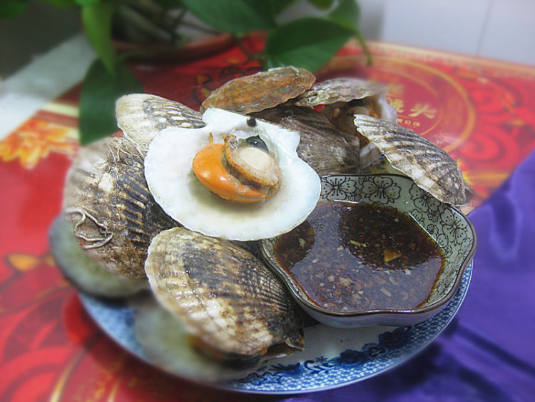 清蒸夏威夷贝步骤8