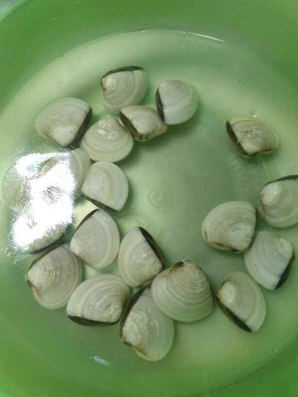 海白蒸蛋步骤1