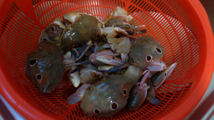 豆酱炒三眼蟹步骤1
