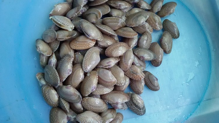 紫苏花蛤炒咸鸡脚步骤1