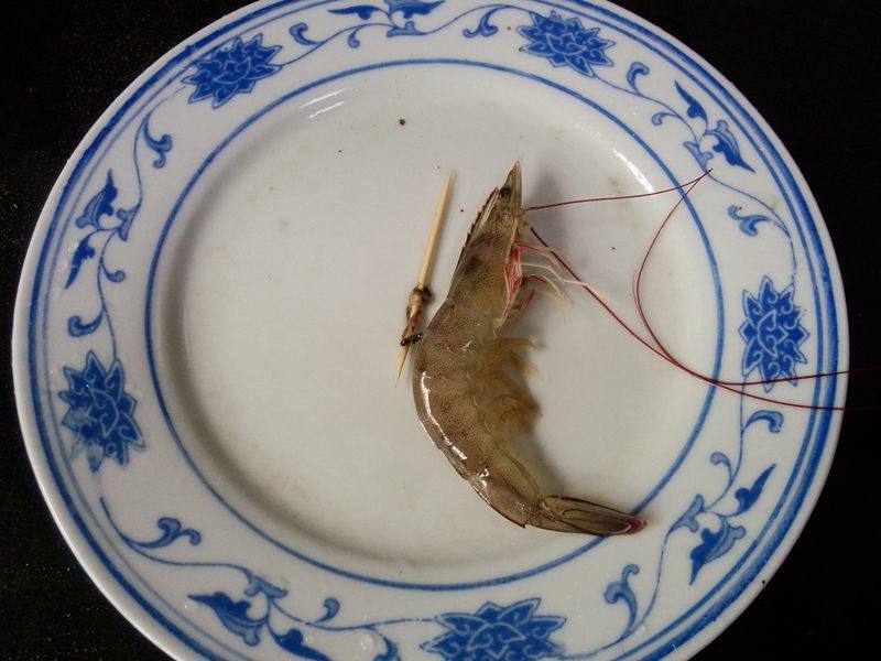 盐水对虾步骤2