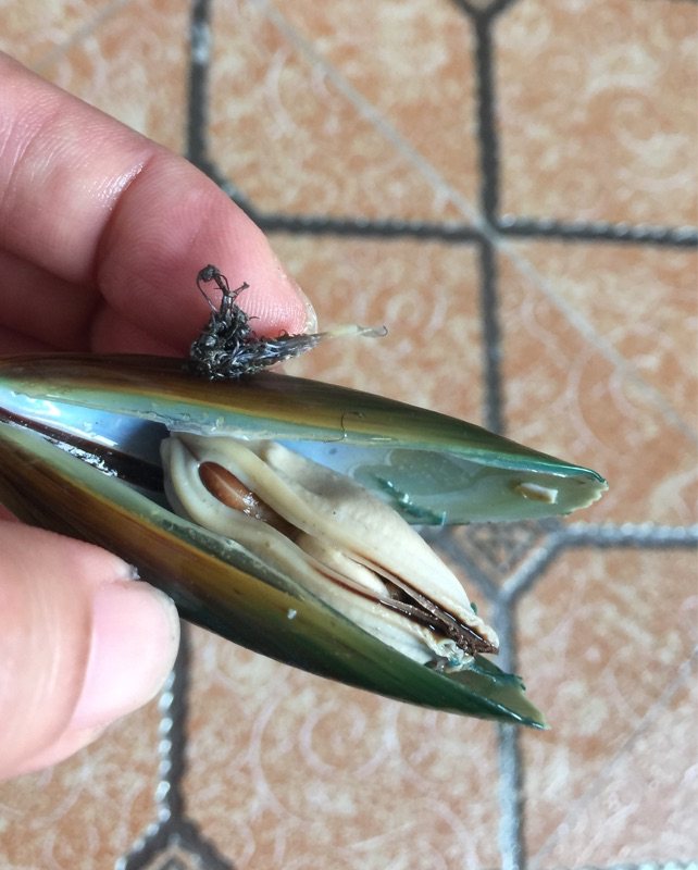 海鲜汤步骤4