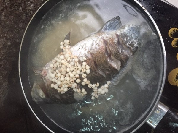 薏仁鲫鱼汤步骤6