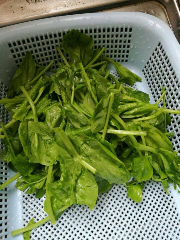 上汤荷兰豆苗步骤1