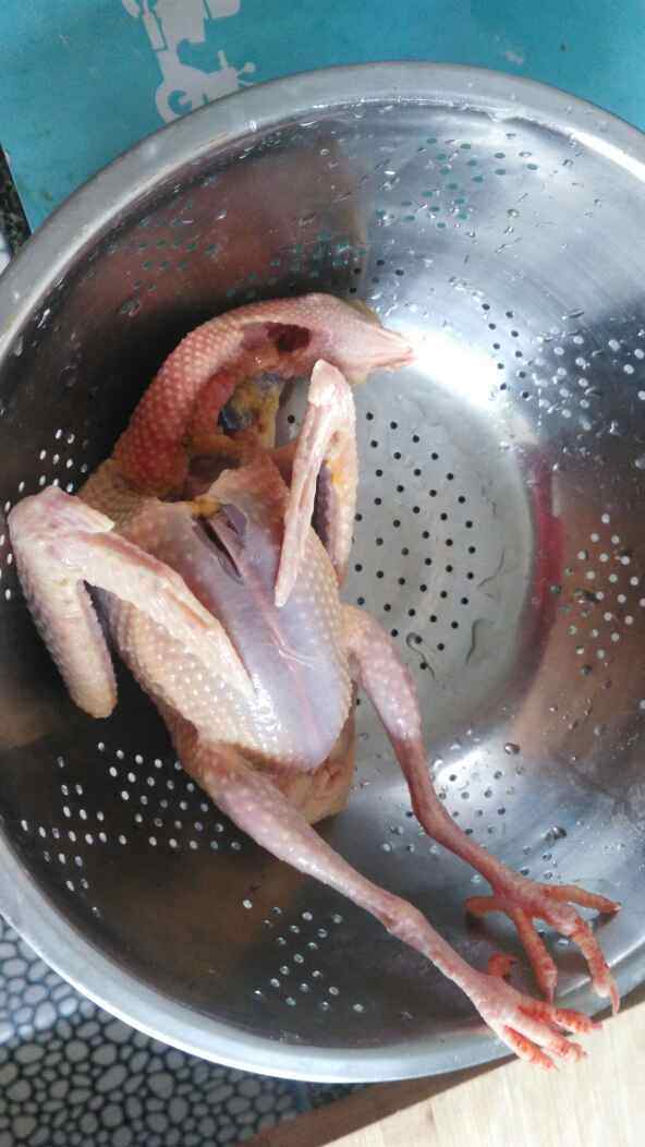 清炖鸽子步骤1