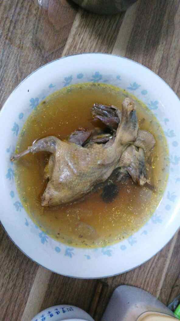 清炖鸽子步骤9