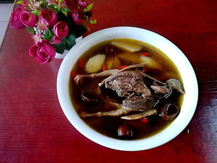乳鸽大补汤步骤10
