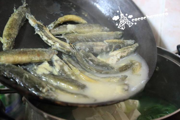 豆腐泥鳅消滞汤步骤4
