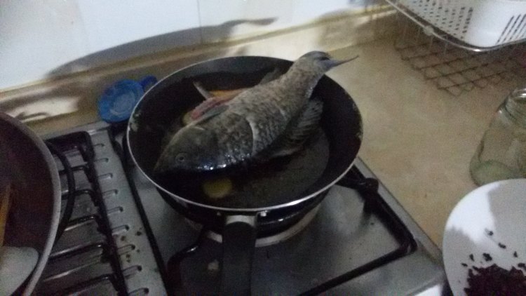 时蔬鲫鱼汤步骤3