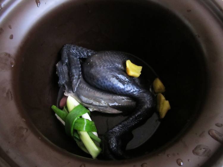 白果乌鸡汤步骤4