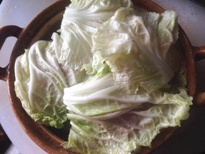 软糯鲜香的淮扬名菜—步骤17