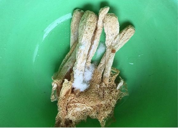 野生竹荪老鸭冬瓜薏仁步骤2