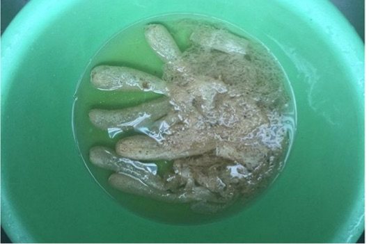 野生竹荪老鸭冬瓜薏仁步骤3
