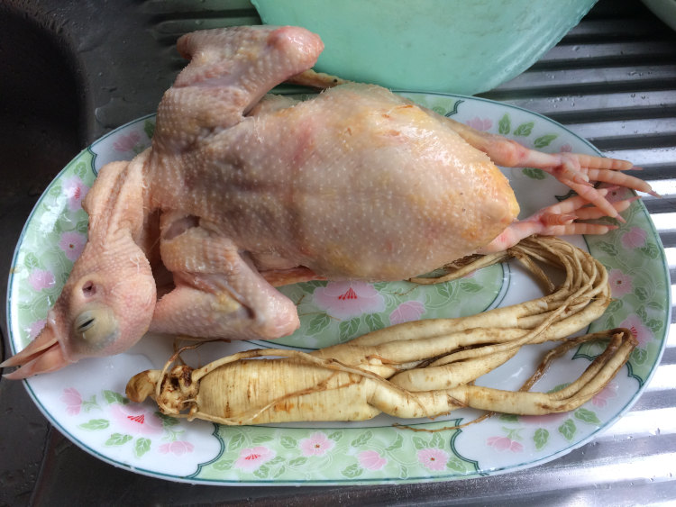 人参鸽子汤步骤1