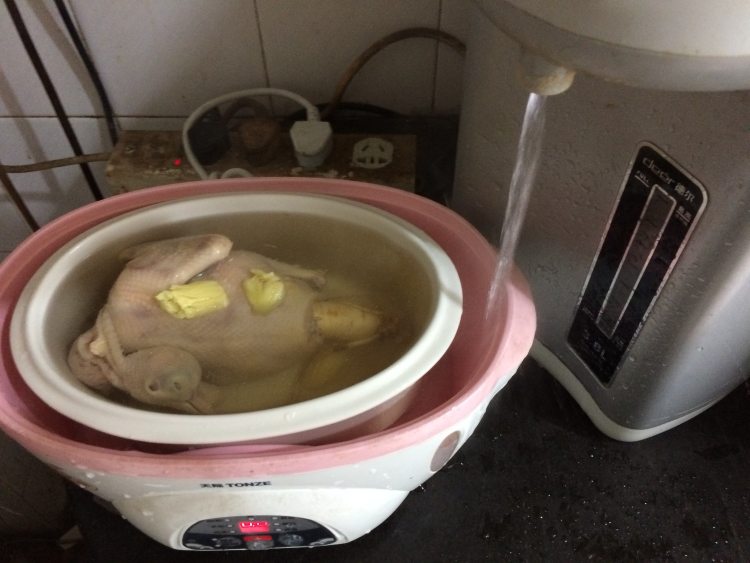 人参鸽子汤步骤7