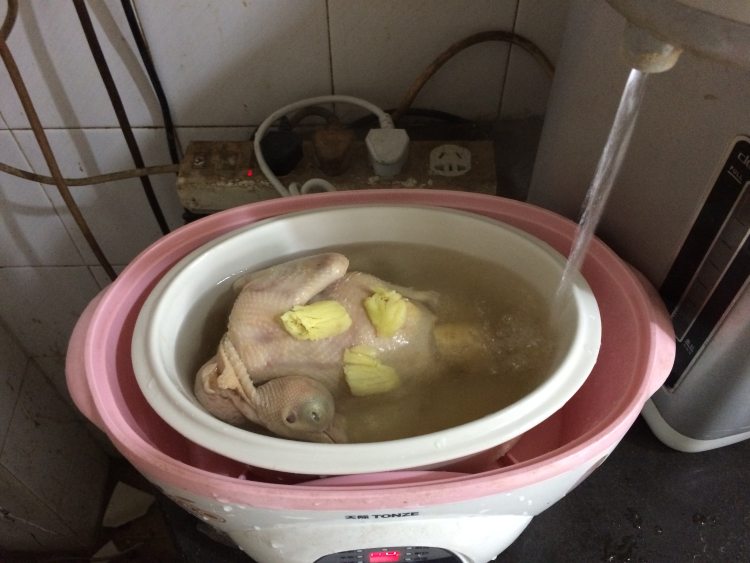 人参鸽子汤步骤6