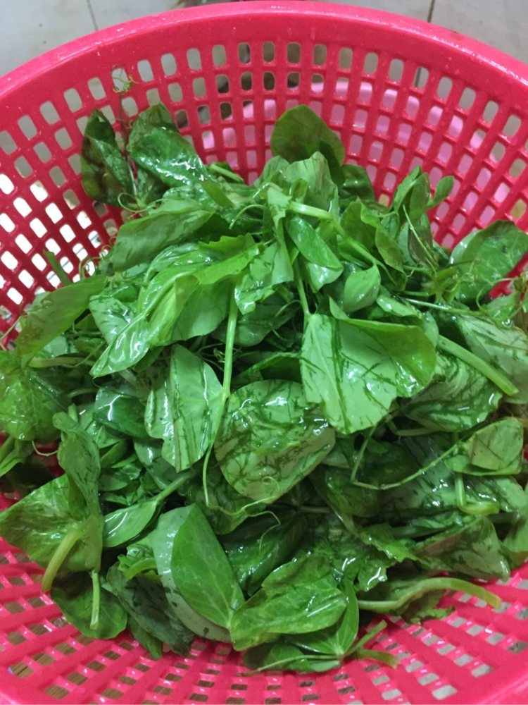 荷兰豆苗肉片汤步骤1