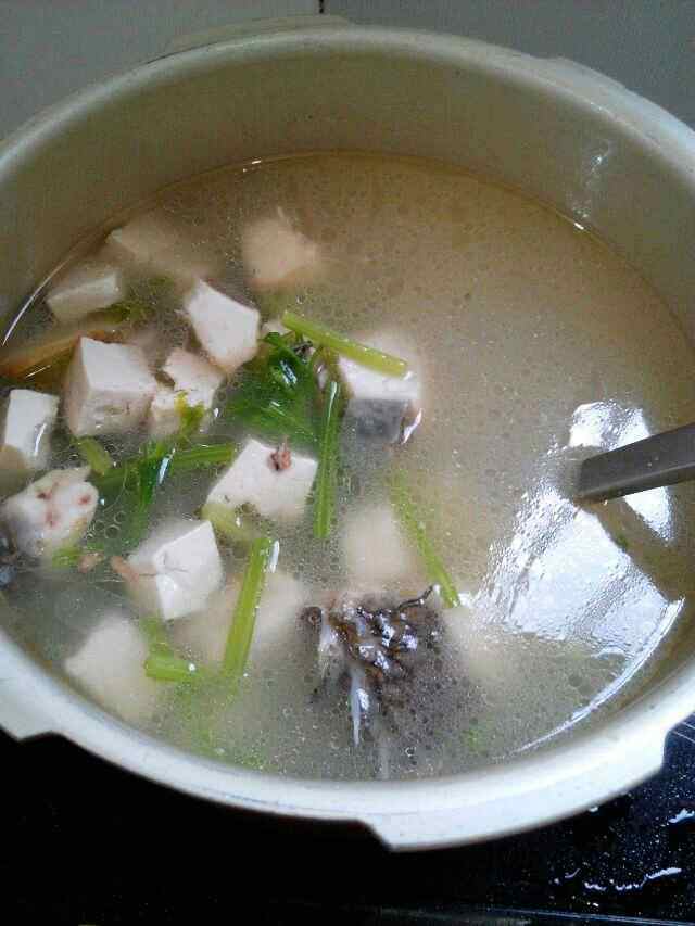 豆腐鱼肉汤步骤9