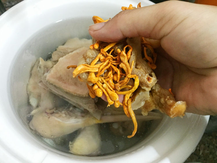 玉竹虫草花老鸭汤步骤9
