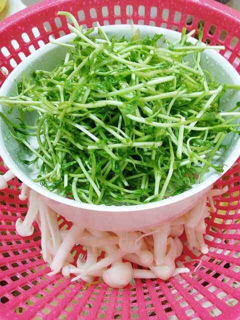 海鲜菇豆苗肉片汤步骤1
