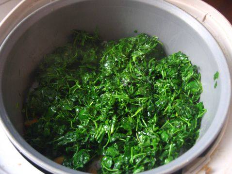 草头饭步骤7