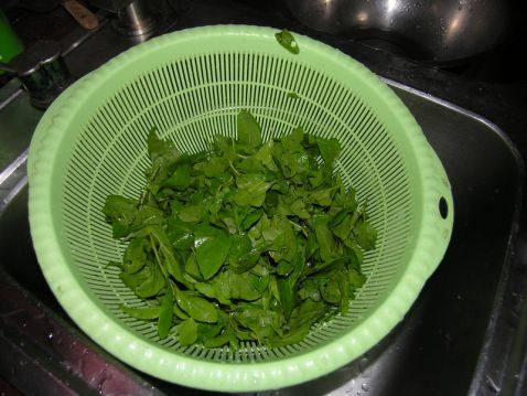 枸杞菜泡饭步骤1