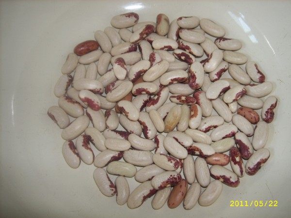 芸豆金银饭步骤1